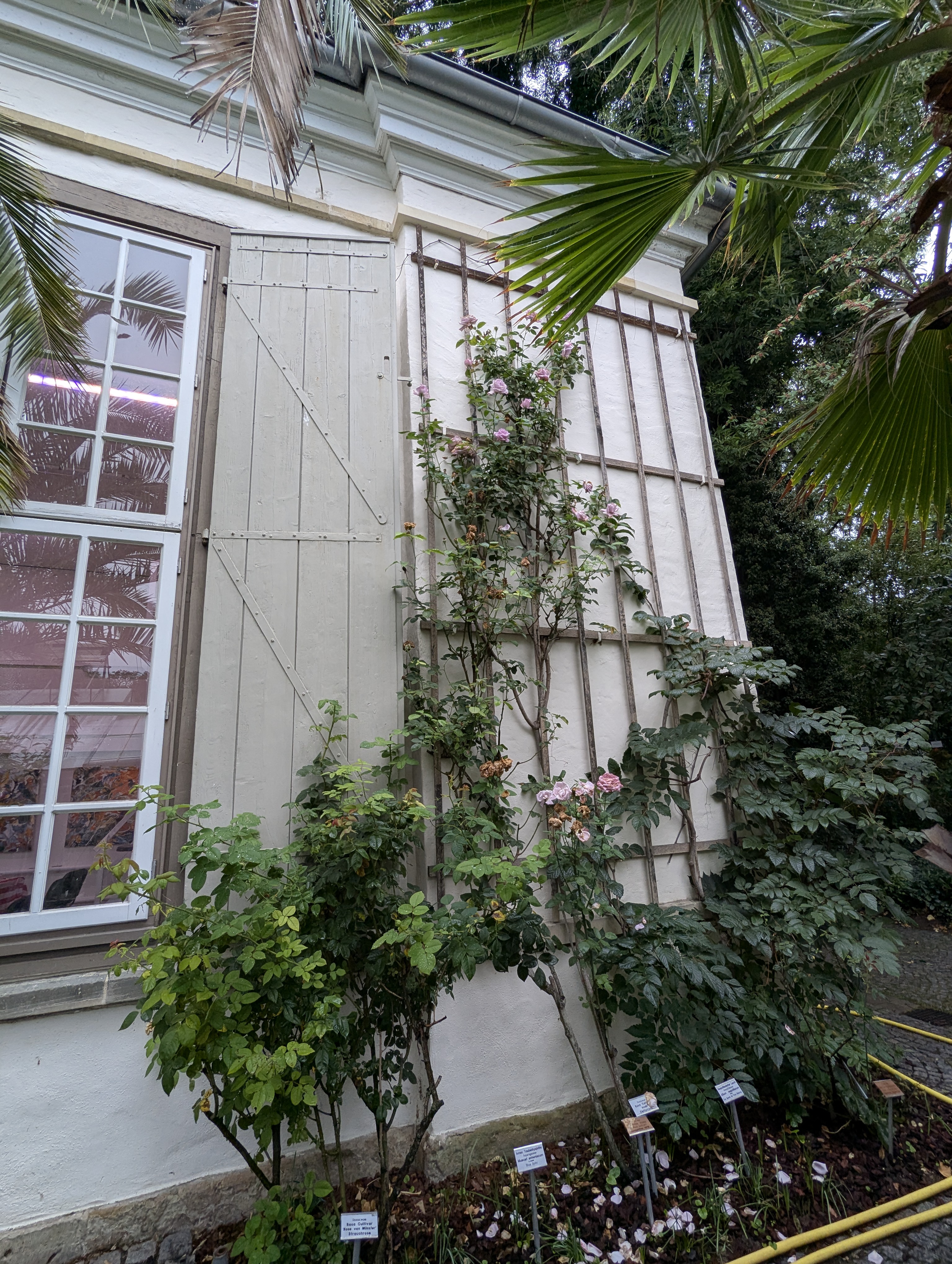 Botonic Gardens, Muenster, Germany